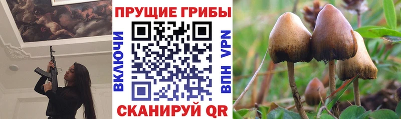 Галлюциногенные грибы MAGIC MUSHROOMS Белово