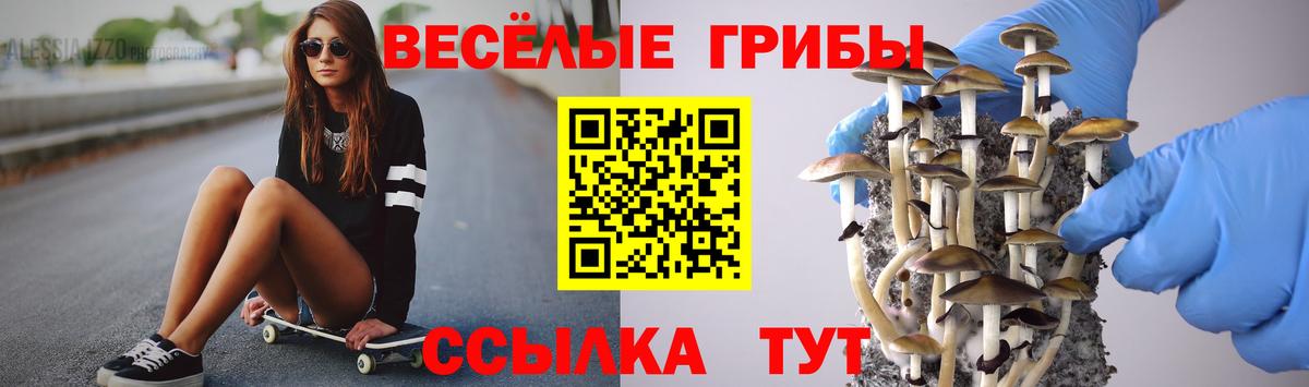 Галлюциногенные грибы Cubensis  Вход с VPN  Белово  Галлюциногенные грибы ЛСД 
